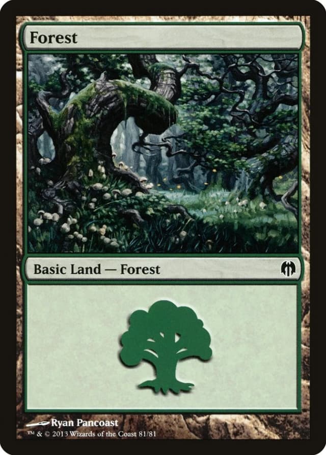 Forest image