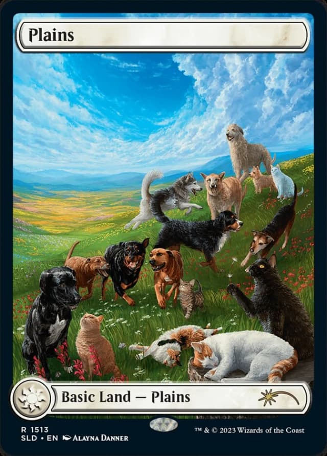 Plains image