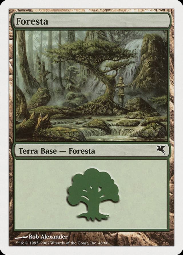 Forest image