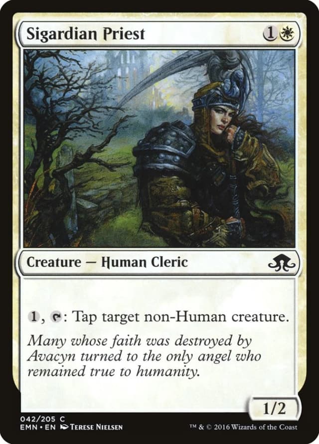 Sigardian Priest image