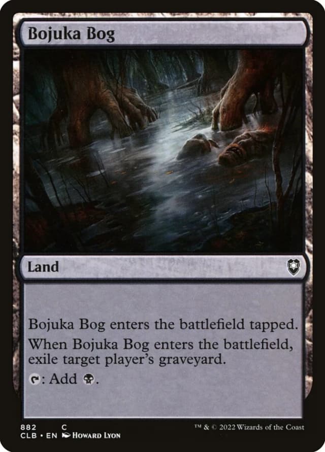 Bojuka Bog image