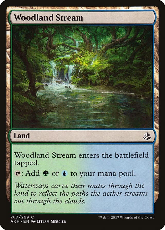 Woodland Stream image