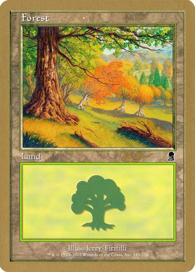 Forest image