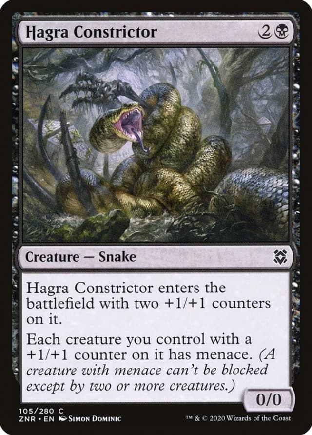 Hagra Constrictor image