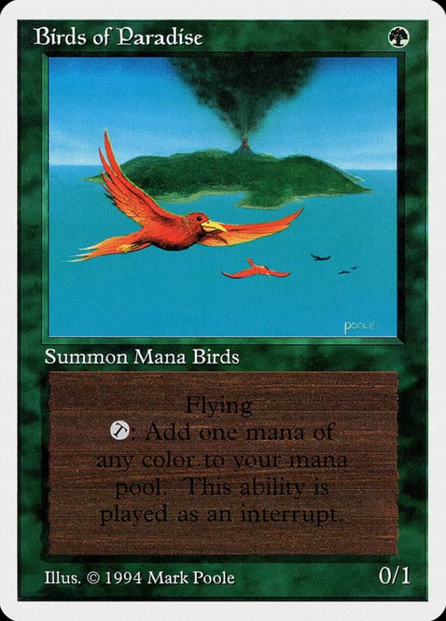 Birds of Paradise image