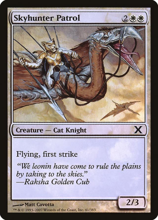 Skyhunter Patrol image