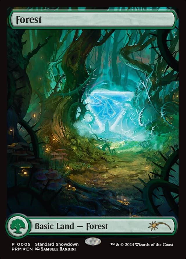 Forest image