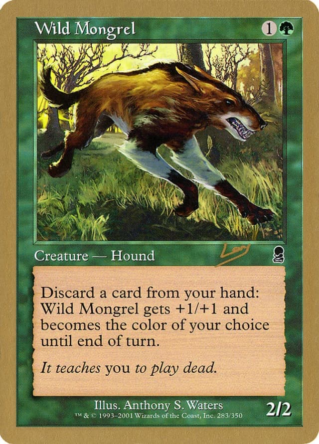 Wild Mongrel image