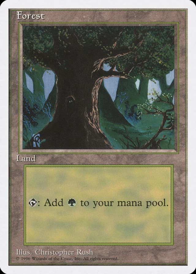 Forest image
