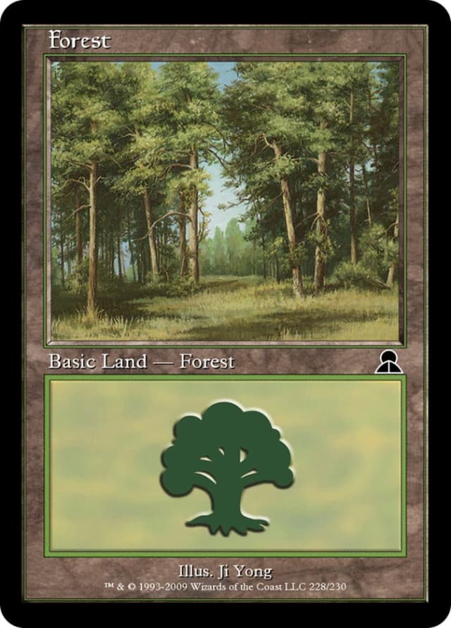 Forest image