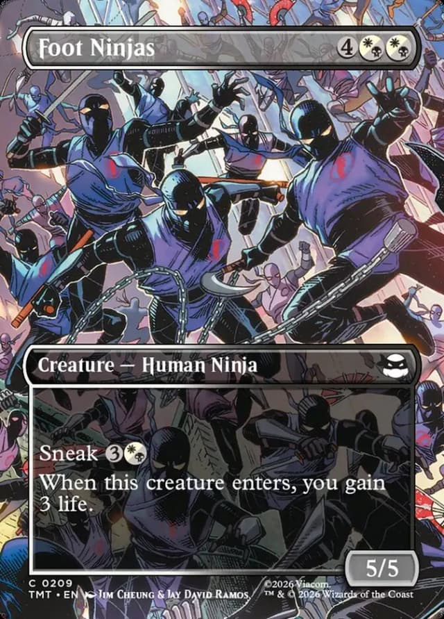 Foot Ninjas image