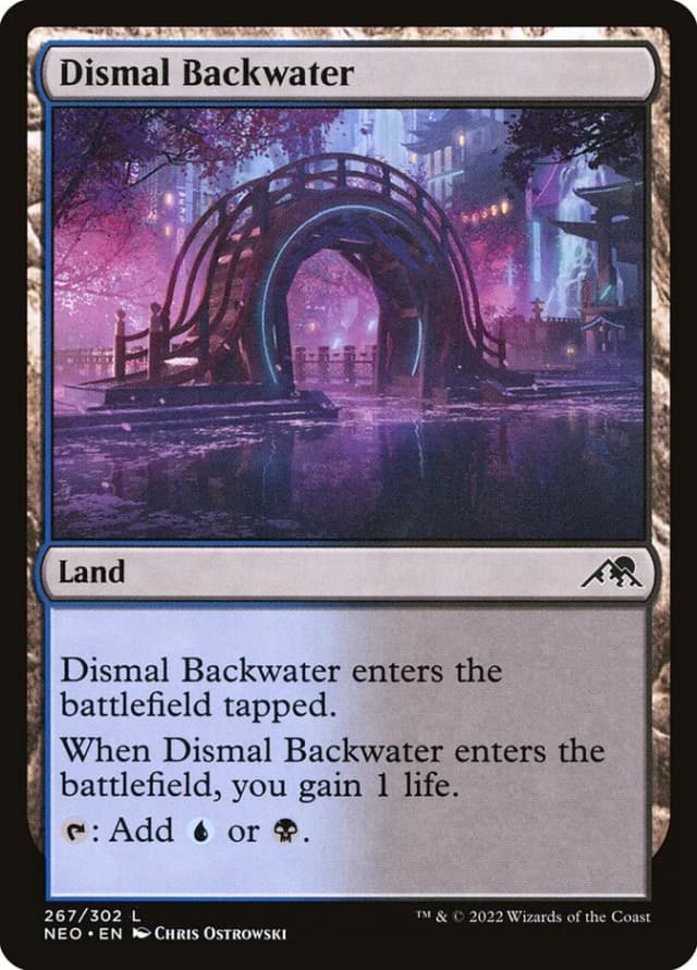 Dismal Backwater image