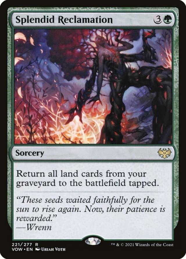 Splendid Reclamation image
