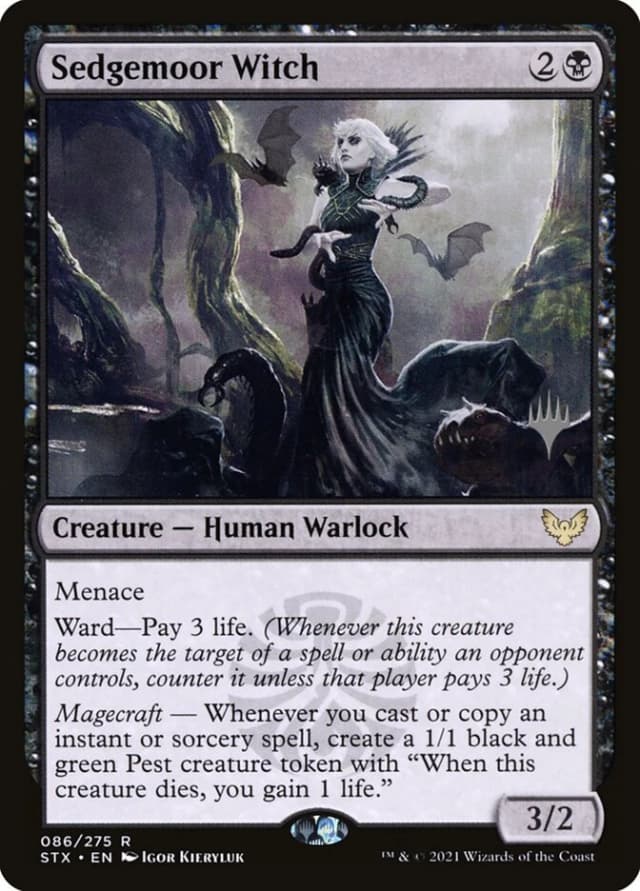 Sedgemoor Witch image