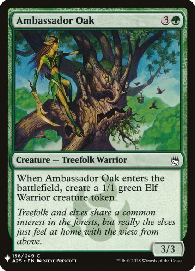 Ambassador Oak image