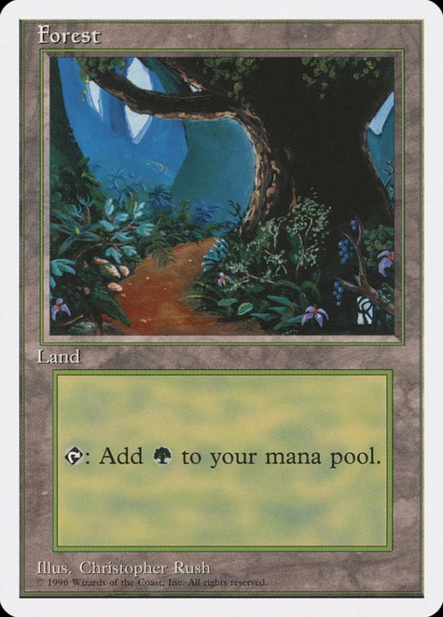 Forest image