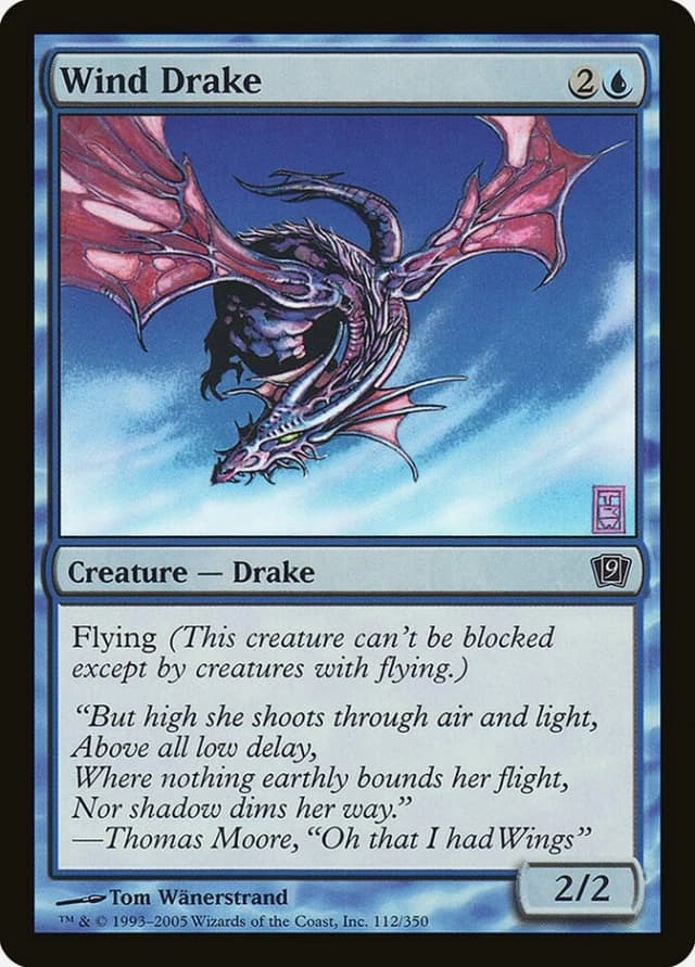 Wind Drake image