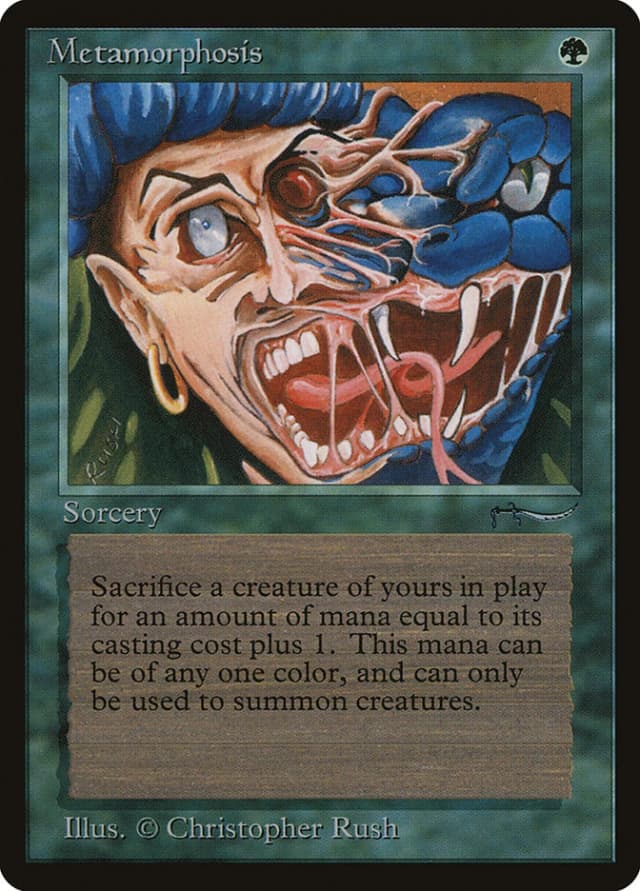 Metamorphosis image