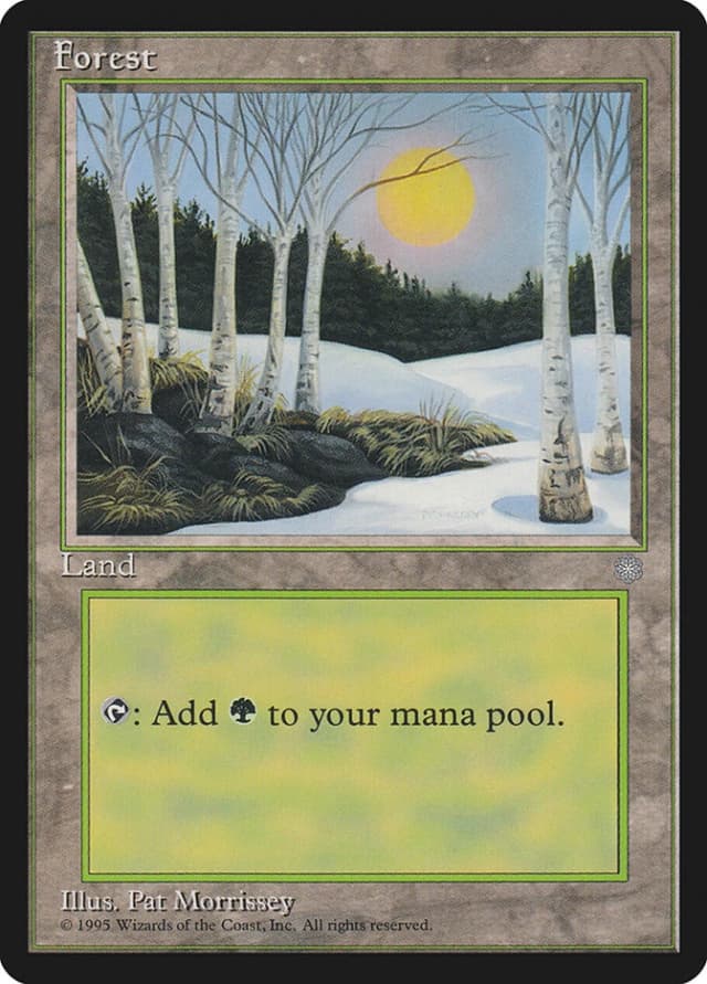 Forest image