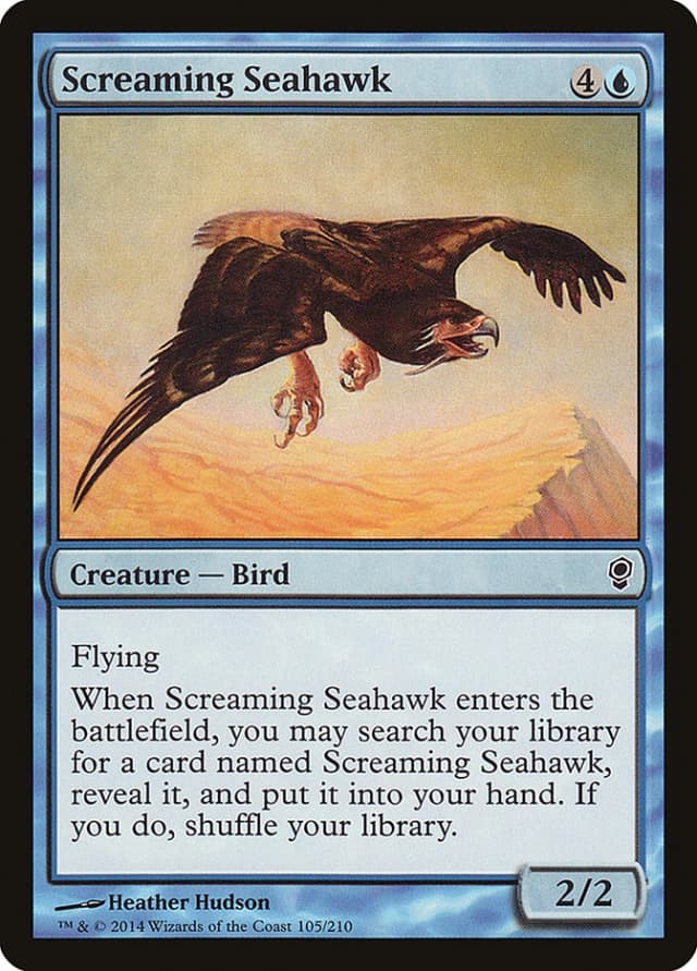 Screaming Seahawk image