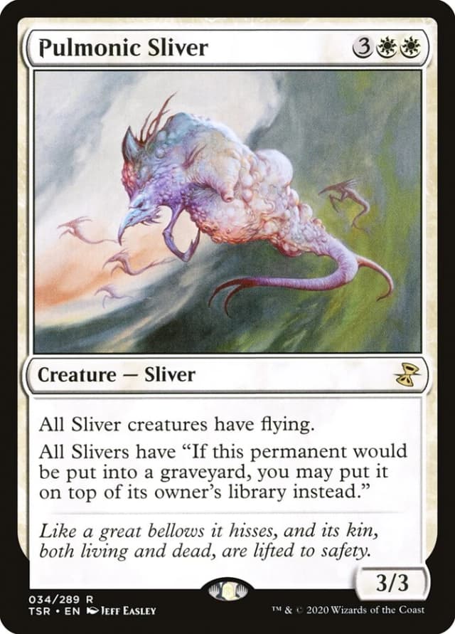 Pulmonic Sliver image