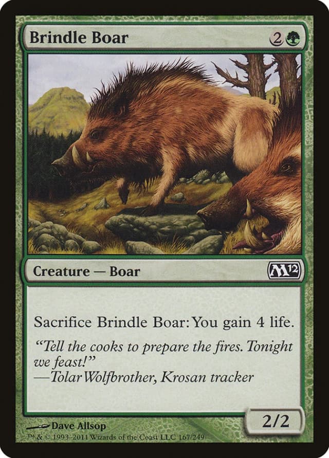 Brindle Boar image