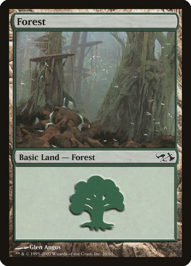 Forest image