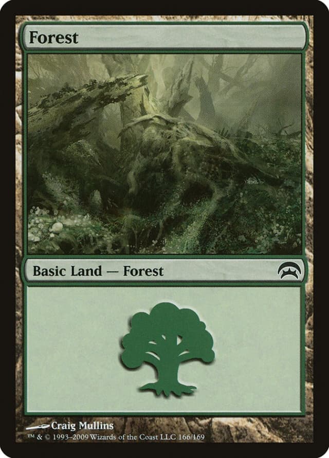 Forest image