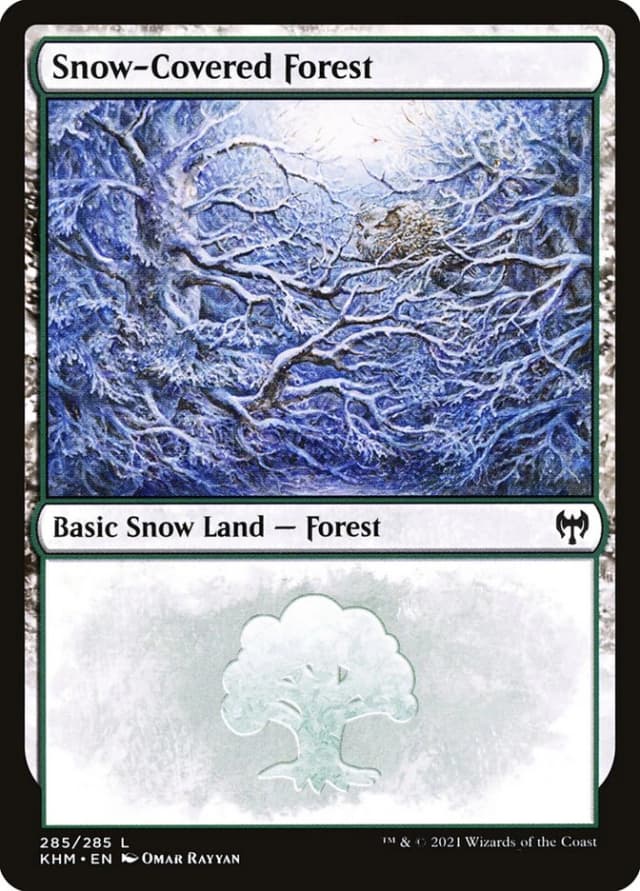 Snow-Covered Forest image