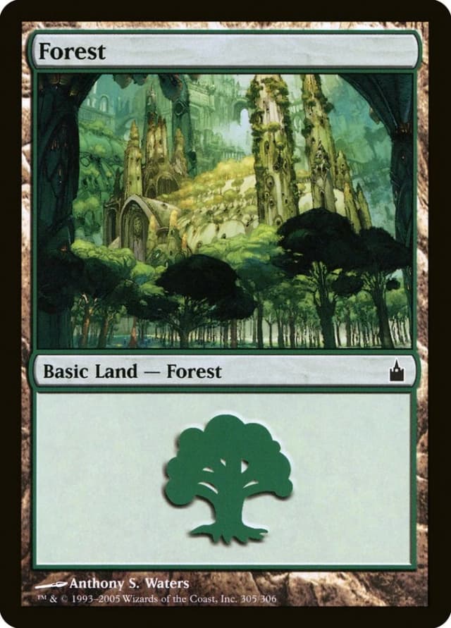 Forest image