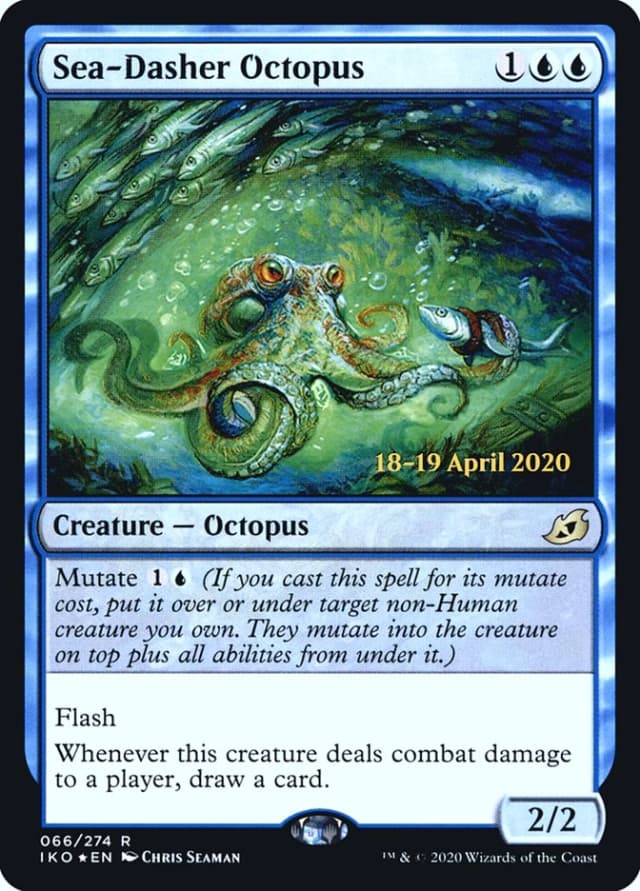 Sea-Dasher Octopus image
