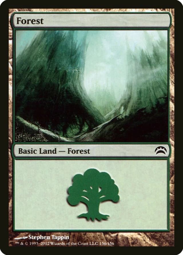 Forest image