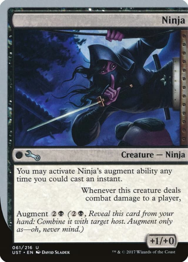 Ninja image