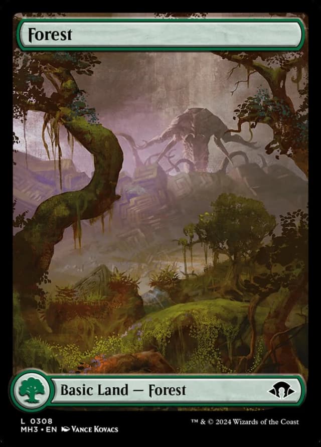 Forest image