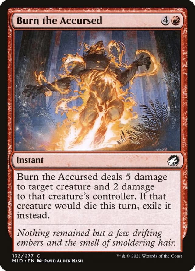 Burn the Accursed image