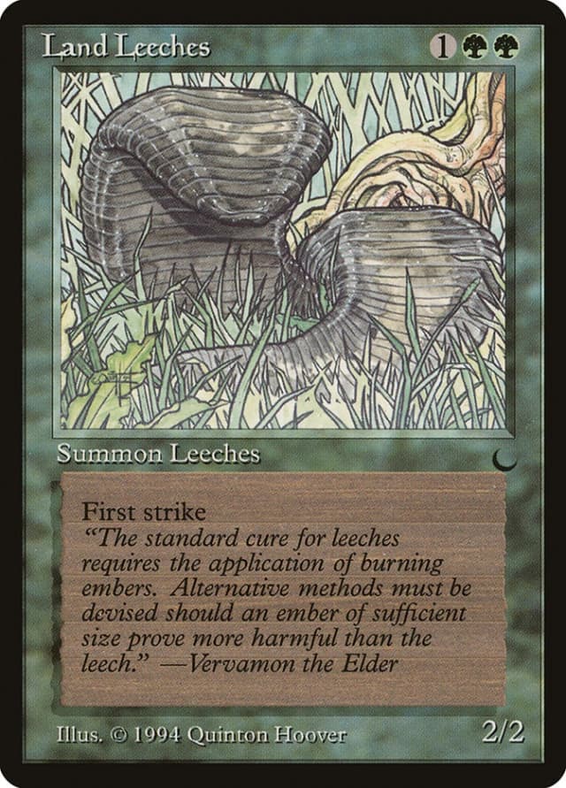 Land Leeches image