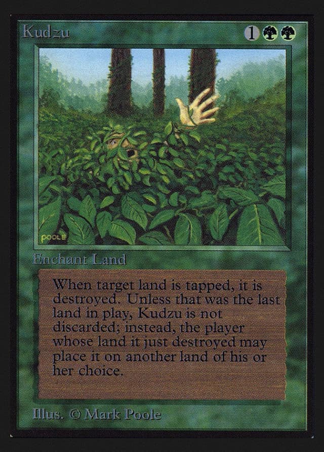 Kudzu image